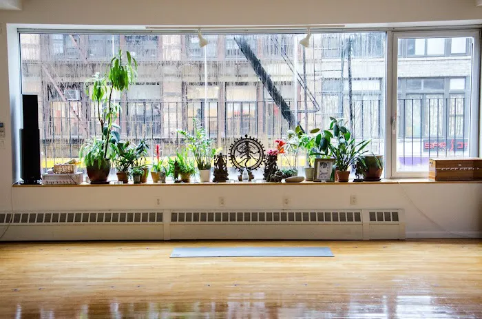 SONICYOGA Picture 4