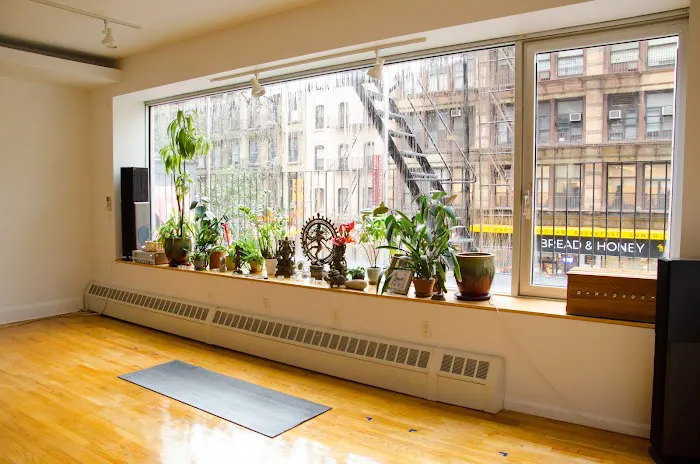 SONICYOGA Picture 3