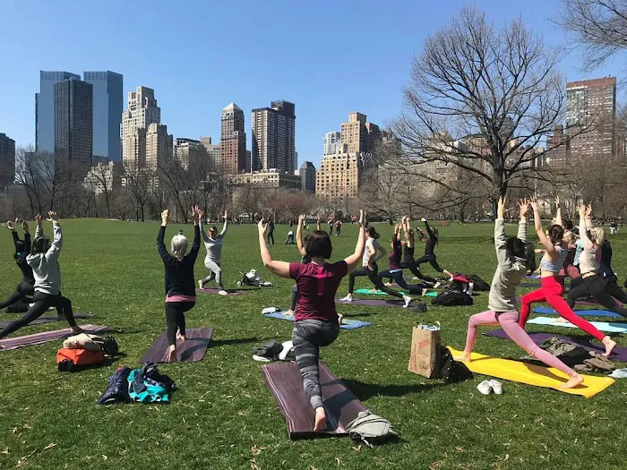 The Yoga Trail Picture 2