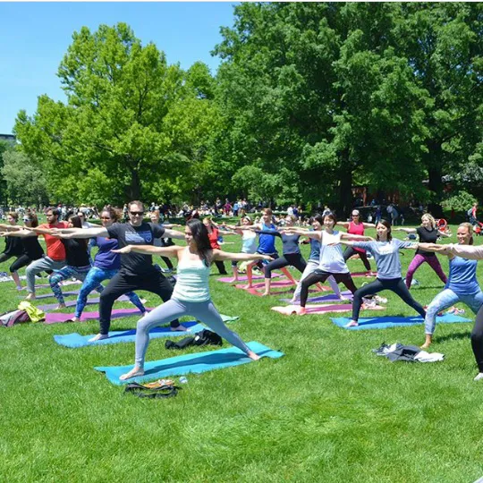 The Yoga Trail Picture 4