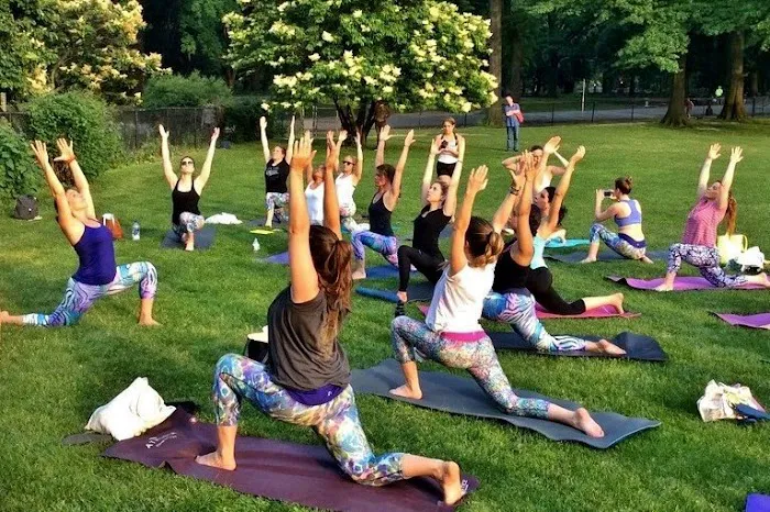 The Yoga Trail Picture 3