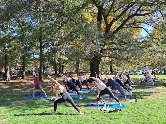 The Yoga Trail Picture 8