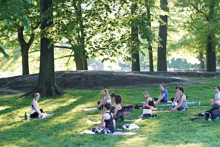 The Yoga Trail Picture 5