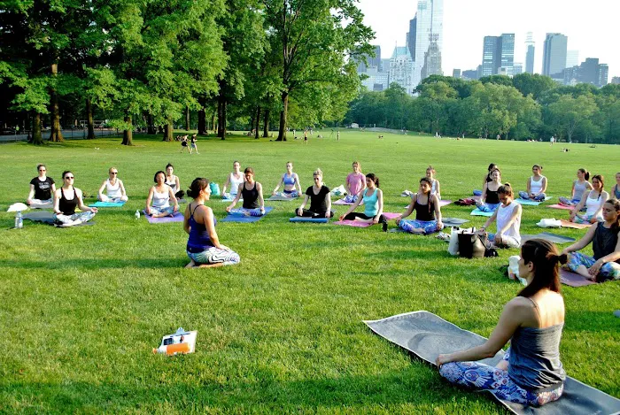 The Yoga Trail Picture 9