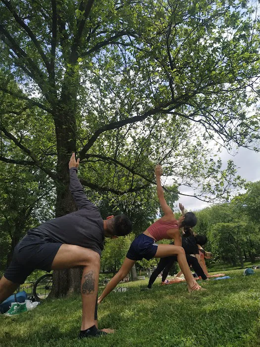 The Yoga Trail Picture 10