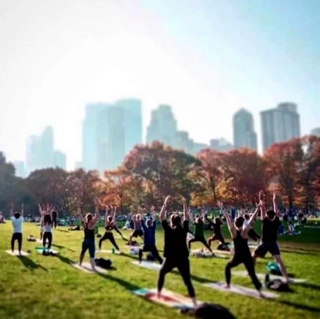 The Yoga Trail Picture 6