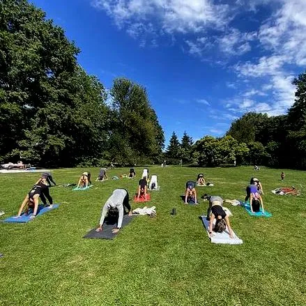 The Yoga Trail Picture 7