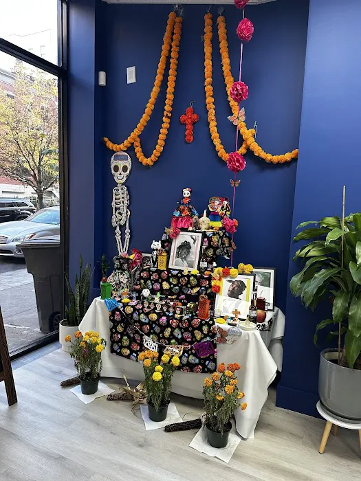 Ofrenda Yoga Studio Picture 5