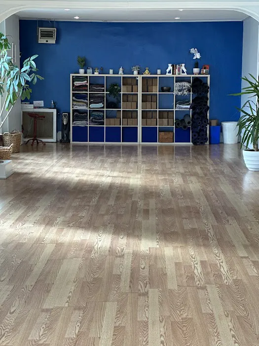 UpDog Studios Picture 7