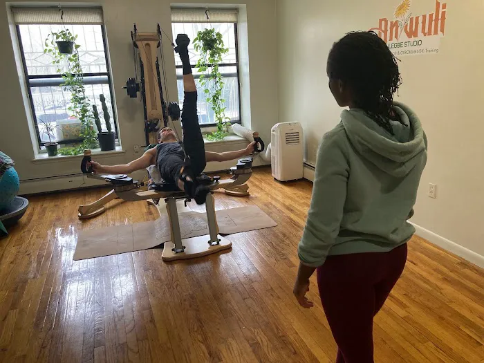 Anwuli Ilegbe GYROTONIC Studio Picture 2