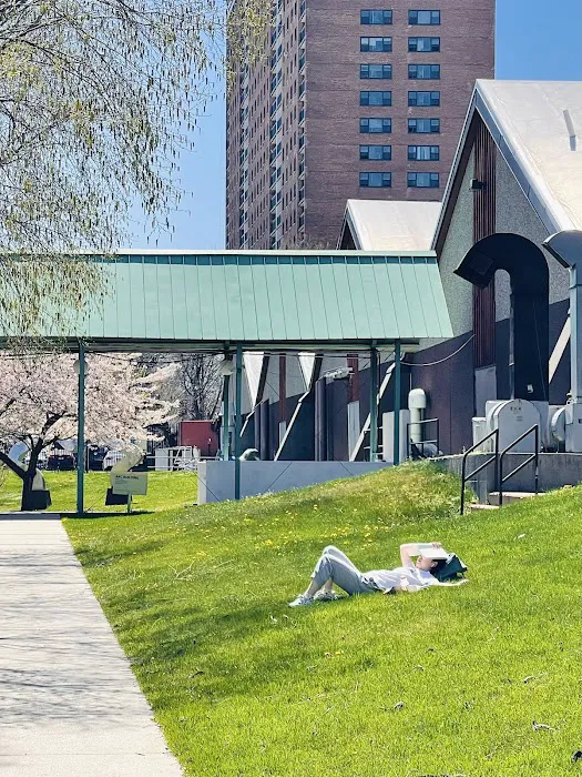ARC Building Picture 6