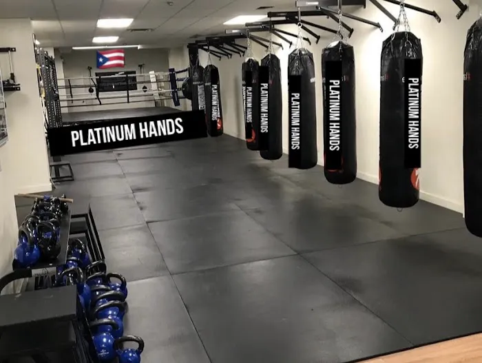 Platinum Boxing Studio Picture 3