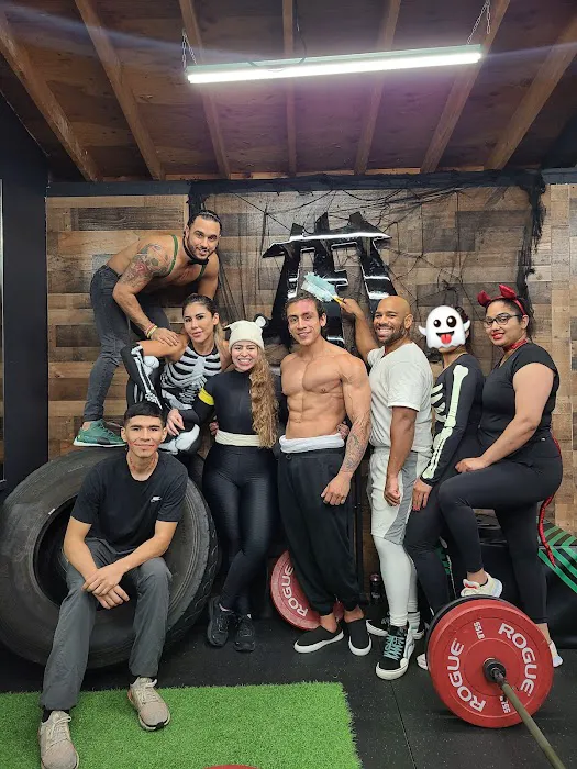 Iron Fortress Training Showroom Picture 4
