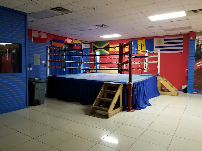 International Boxing & Fitness Picture 7