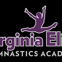 Virginia Elite Gymnastics Academy ico