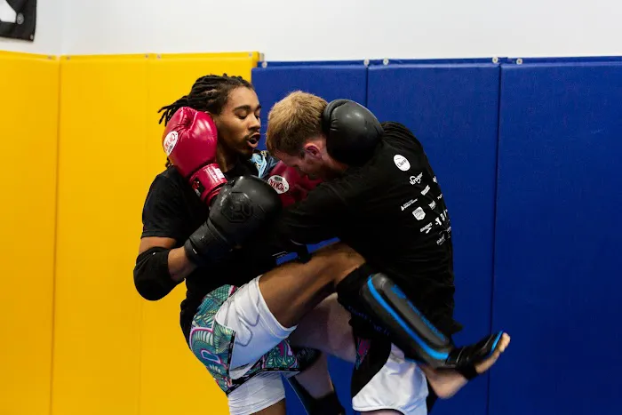10 Kicks Muay Thai Picture 8