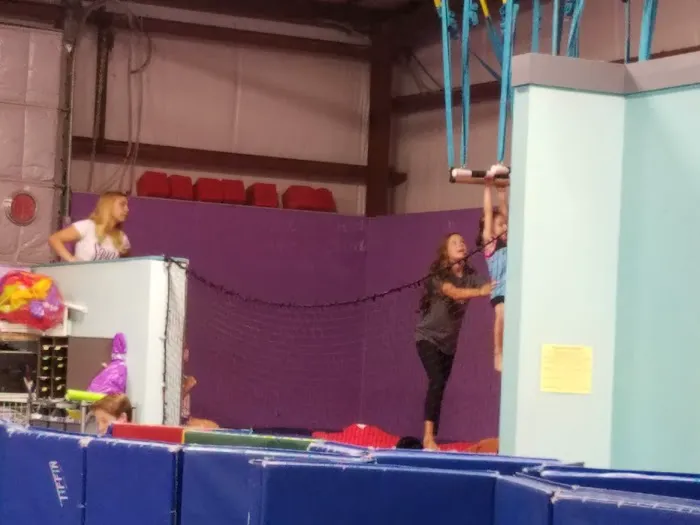 Virginia Elite Gymnastics Academy Picture 6