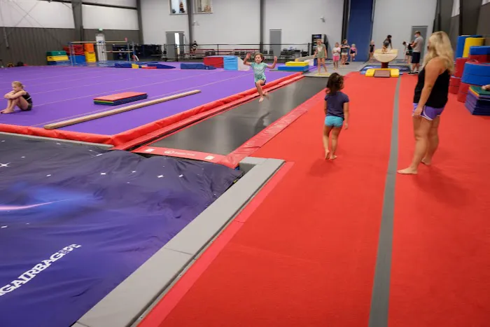 Virginia Elite Gymnastics Academy Picture 9