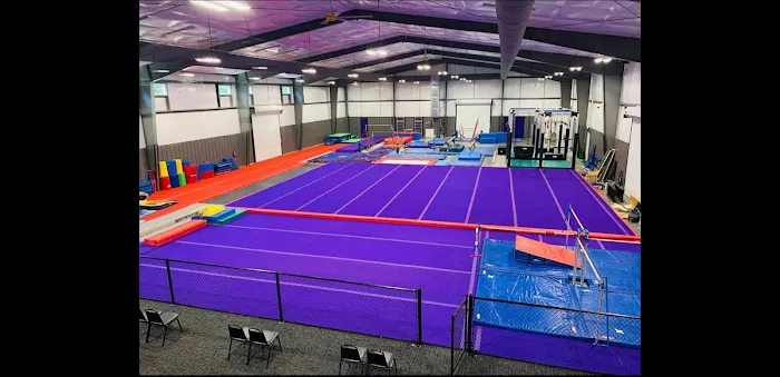 Virginia Elite Gymnastics Academy Picture 5