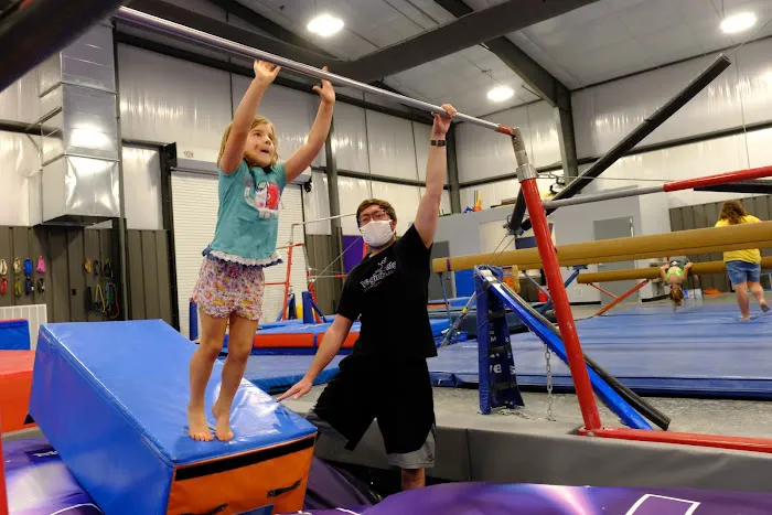 Virginia Elite Gymnastics Academy Picture 7