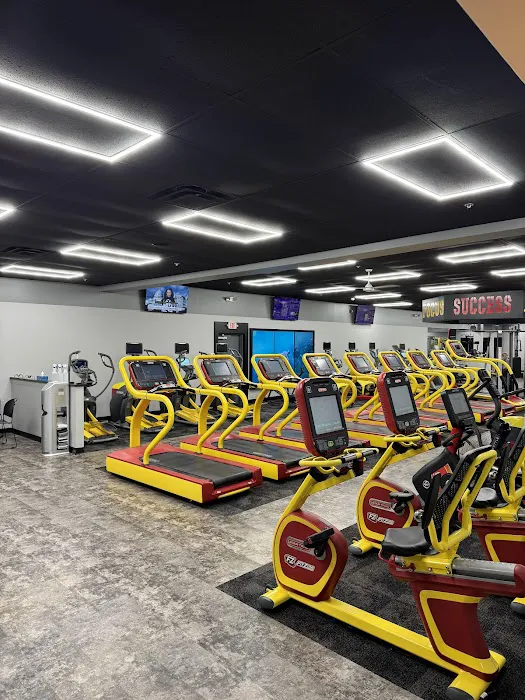 FitZone Picture 7