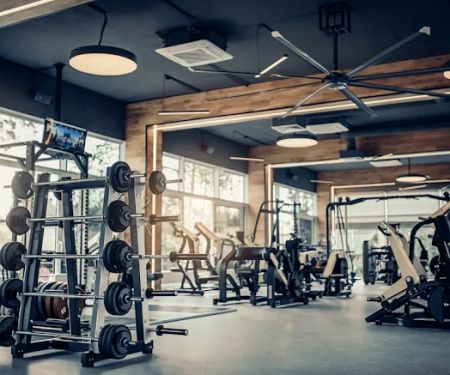 PDF Productionary Gym