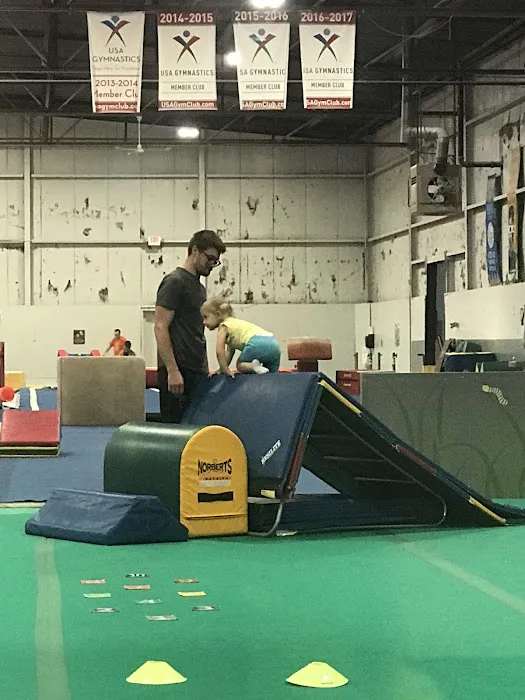 Ohio Gymnastics Institute Inc Picture 6