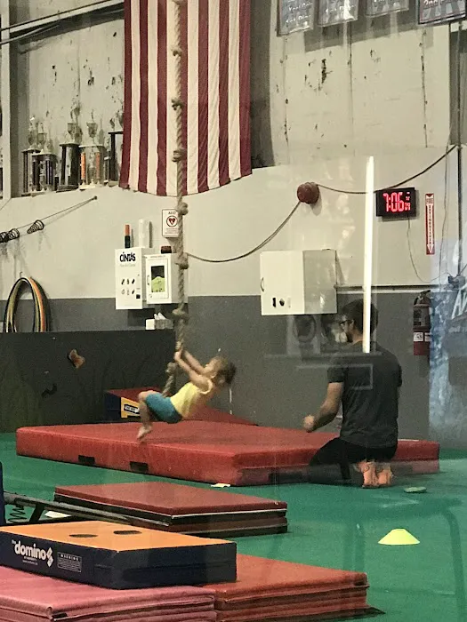Ohio Gymnastics Institute Inc Picture 7