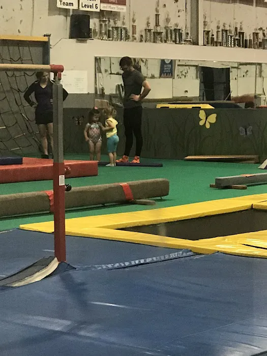 Ohio Gymnastics Institute Inc Picture 4