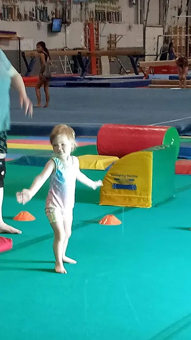 Ohio Gymnastics Institute Inc Picture 2
