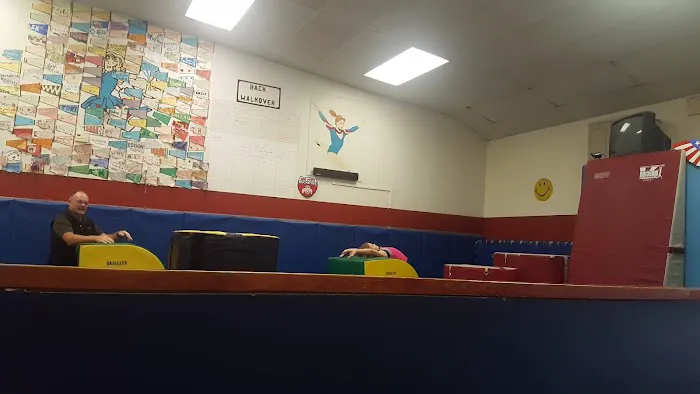 Flying Eagles Gymnastics Picture 1