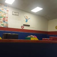 Flying Eagles Gymnastics ico