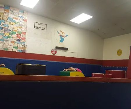 Flying Eagles Gymnastics
