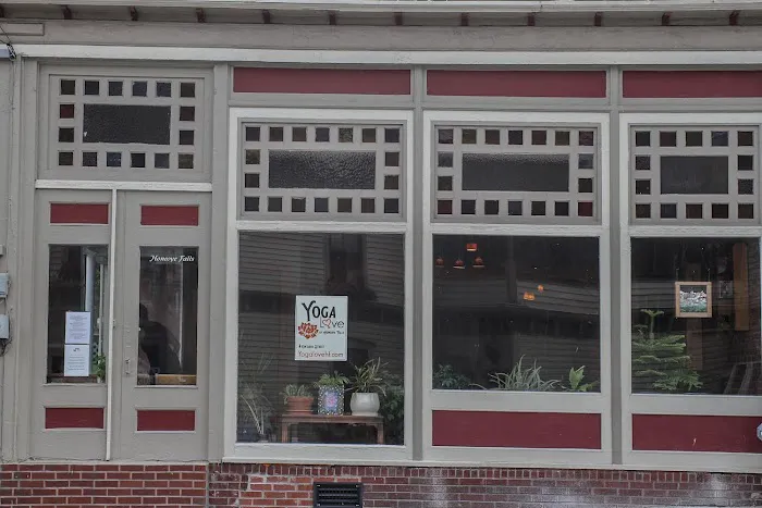 Yoga Love of Honeoye Falls Picture 8