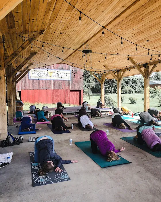 True Soul Yoga Picture 9