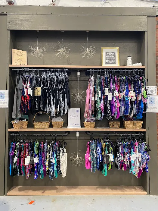 Monadnock Gymnastics Center- Ninja, Gymnastics, Cheer Picture 6