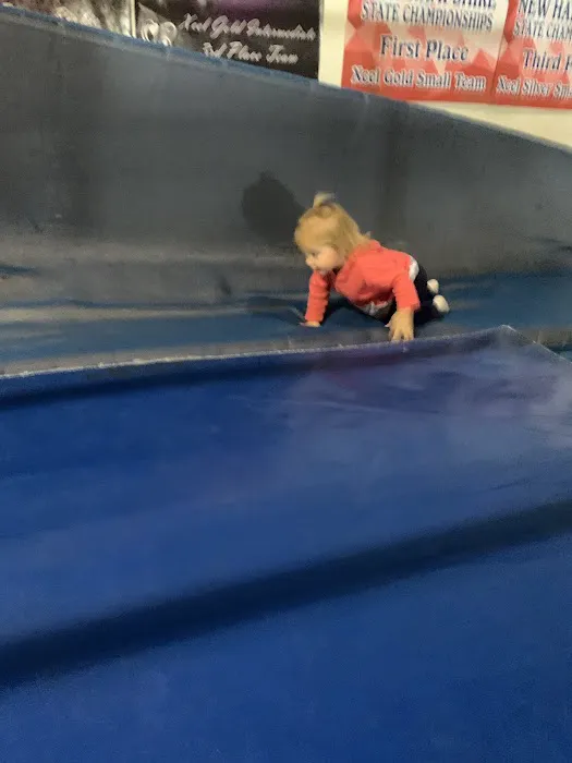Lakes Region Gymnastics Academy Picture 1