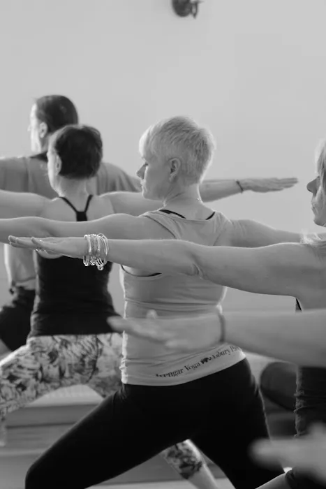 Lake Champlain Yoga & Wellness Picture 7