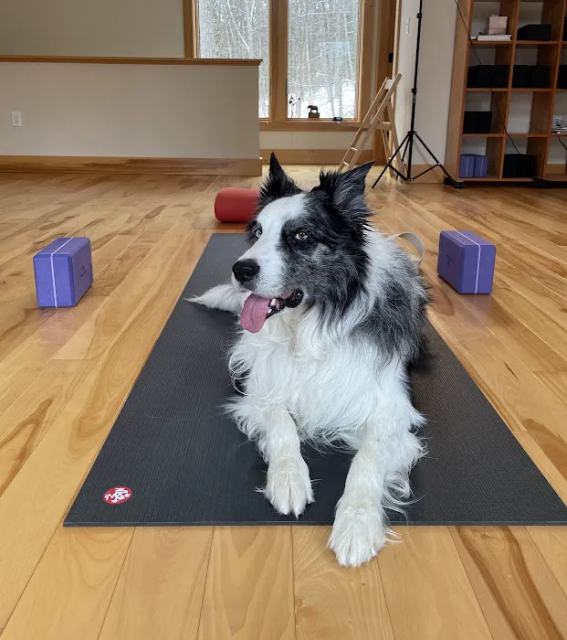 Shelburne Yoga Picture 5