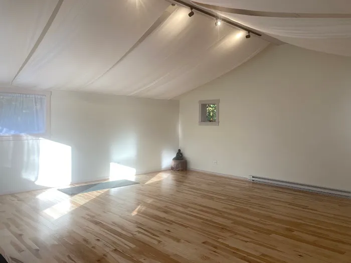 Yoga Lab Vermont Picture 1