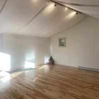 Yoga Lab Vermont ico