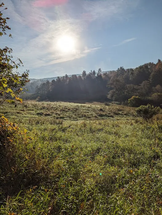 Waterbury Community Bike/Hike Path Picture 5