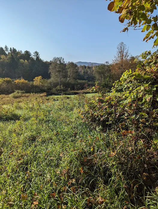 Waterbury Community Bike/Hike Path Picture 6