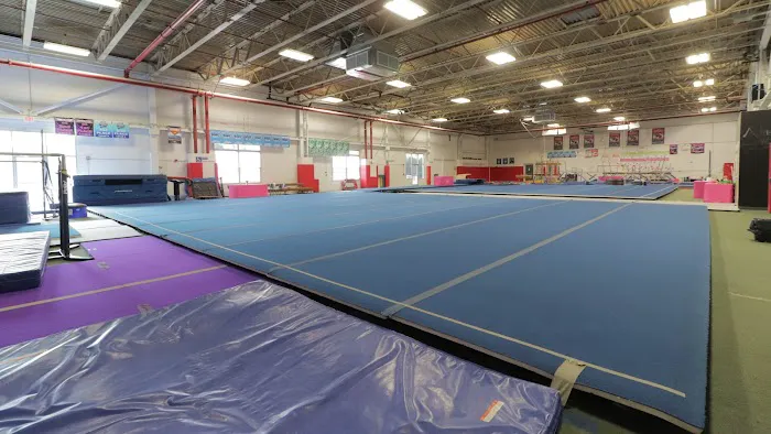Gymnastics and Cheerleading Academy of CT (GCA) Picture 1