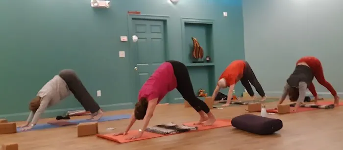Yoga Born Studios Picture 3