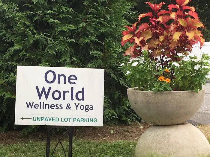 One World Wellness Studio Picture 8