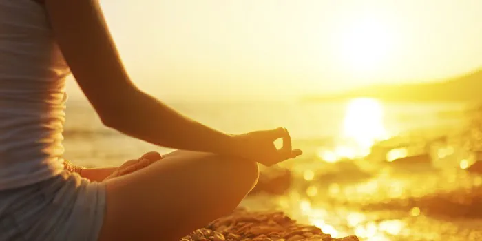 Sunrose Healing Picture 3