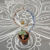 Good Vibes Yoga Studio ico