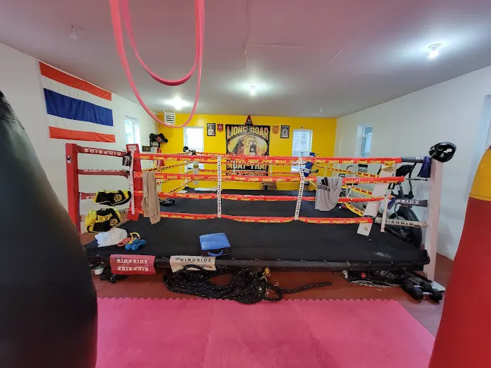 Lions Roar Boxing Gym Picture 3
