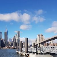 Titans gym new york ico
